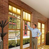 AVI Windows & Doors ico