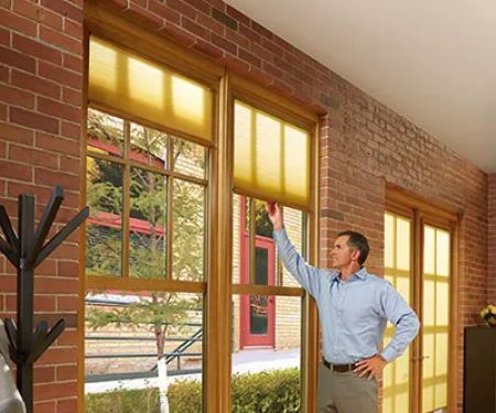 AVI Windows & Doors