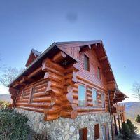 Pro Property Services ico