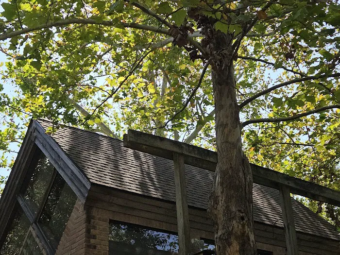 Adams Roofing, LLC Picture 8
