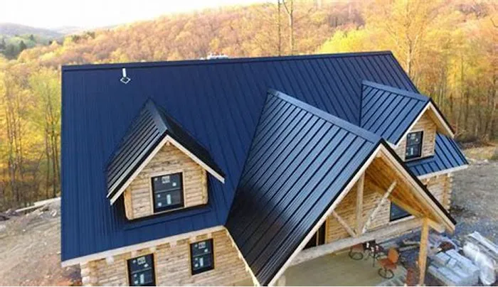 Hernandez & Sons Roof Repair Picture 1