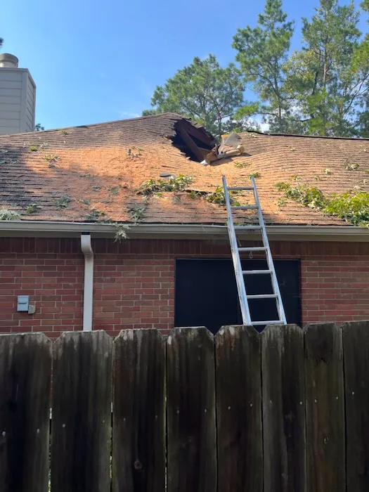 Bare Roofing Picture 1