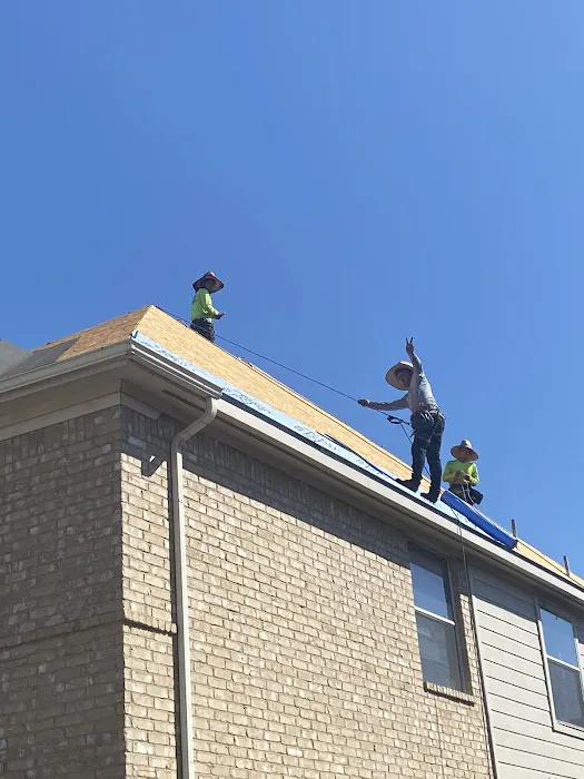 Lifeline Roofing Systems Picture 3