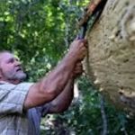Barkclad - Bark Siding