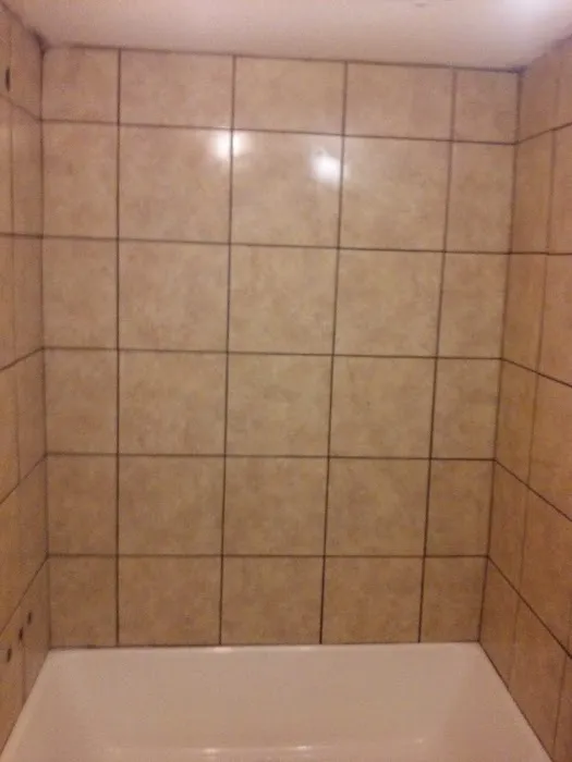 Advanced Property Services Picture 7