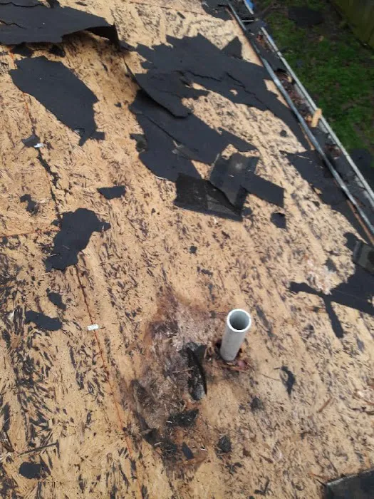 Pegasus Roofing & Construction Picture 8