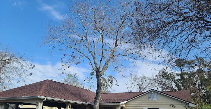 Texas Gold Roofing and More Picture 10