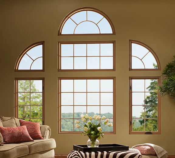 Champion Replacement Windows of Knoxville Picture 1
