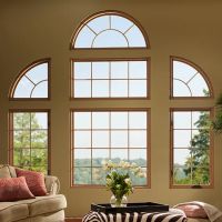 Champion Replacement Windows of Knoxville ico