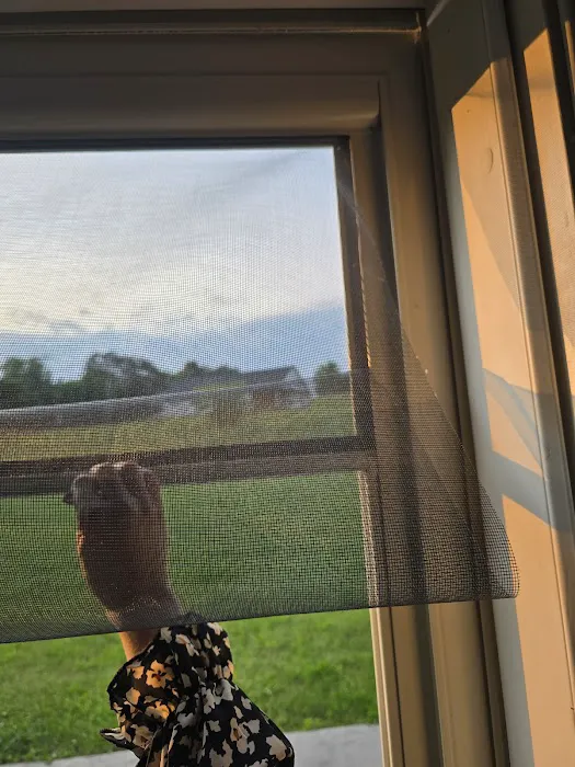 Champion Replacement Windows of Knoxville Picture 6