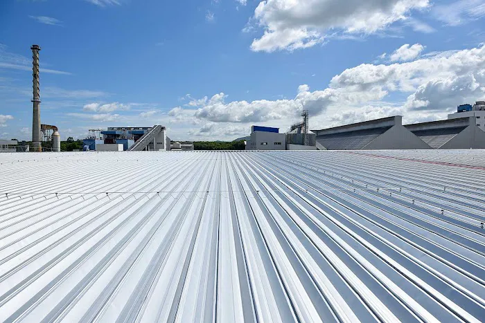 Driven Roofing Picture 8