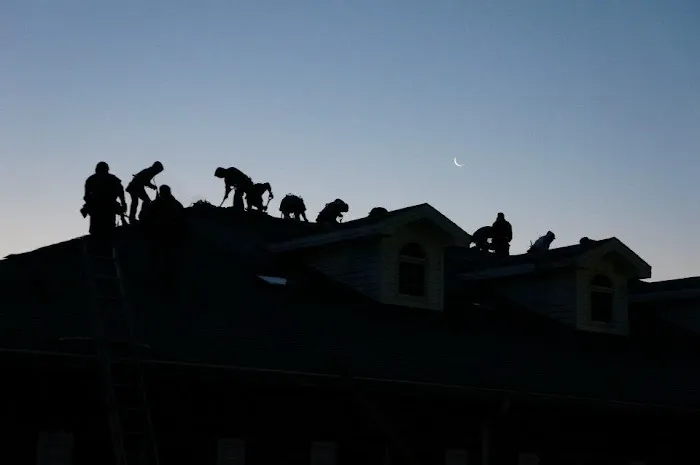 DLV Roofing Systems Picture 6