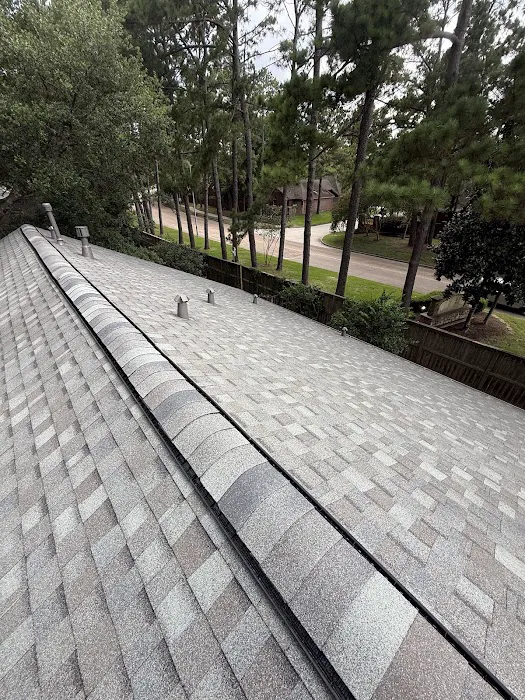 Genesis One Roofing Picture 2