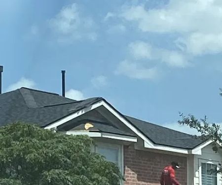 Pro Dynamic Designz Roofing