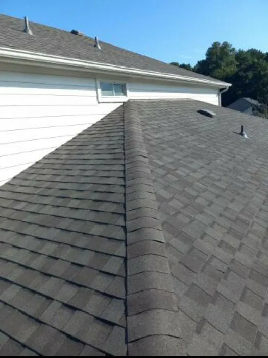 M-Pax Roofing Picture 3