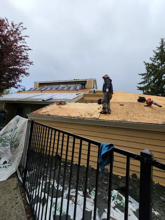M-Pax Roofing Picture 5