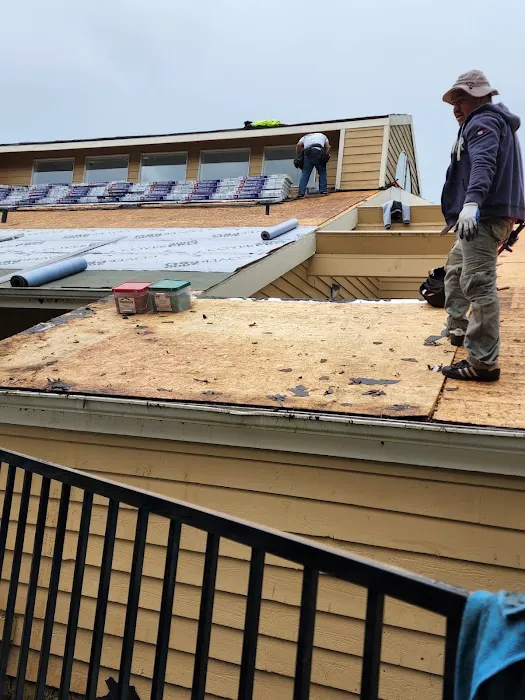 M-Pax Roofing Picture 9