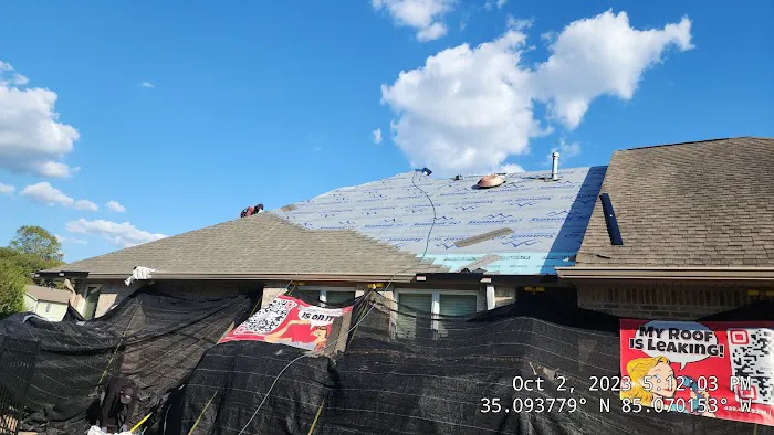 Roof Nurse Picture 4
