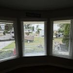 Patriot's Pride Windows