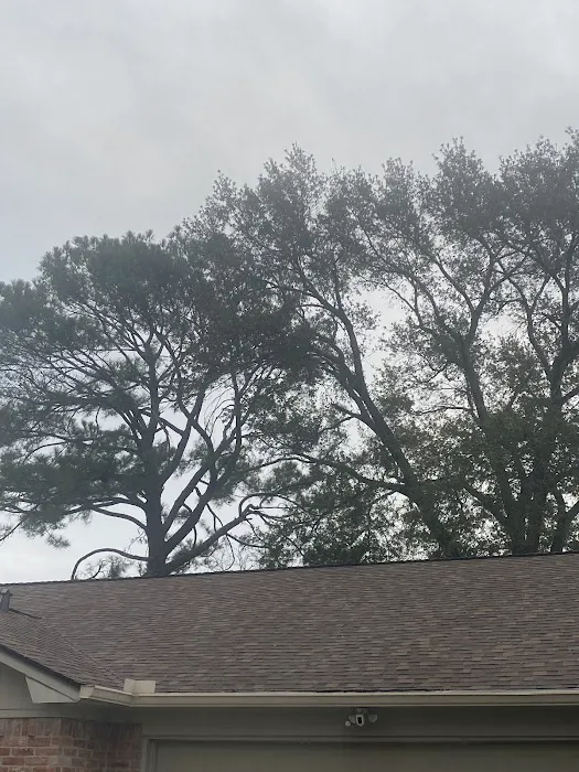 Apollo Roofing Picture 10