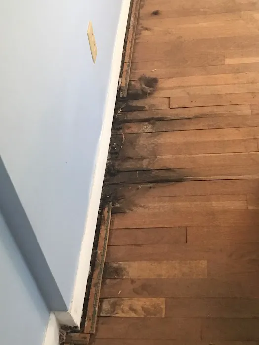 Calvin's Home Fixology Picture 8