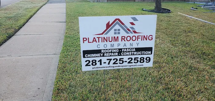 380 Platinum Roofing Picture 7