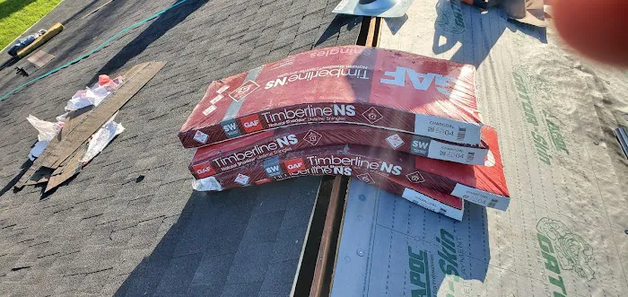 380 Platinum Roofing Picture 8