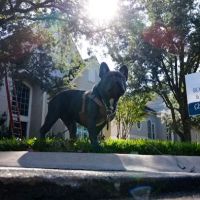 Royal Roofing and Remodeling ico