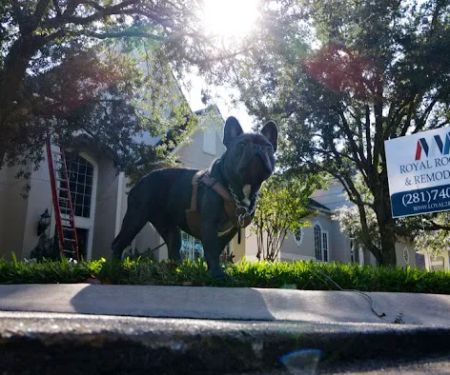 Royal Roofing and Remodeling