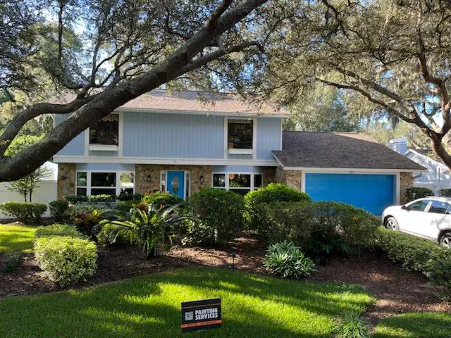 That 1 Painter Tampa Bay Picture 4