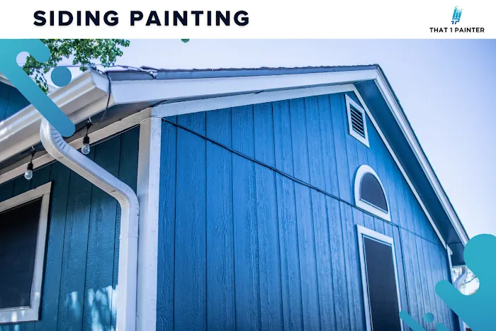 That 1 Painter Tampa Bay Picture 10