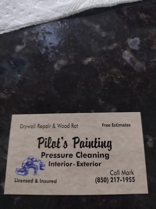 Pilot's Painting Picture 3