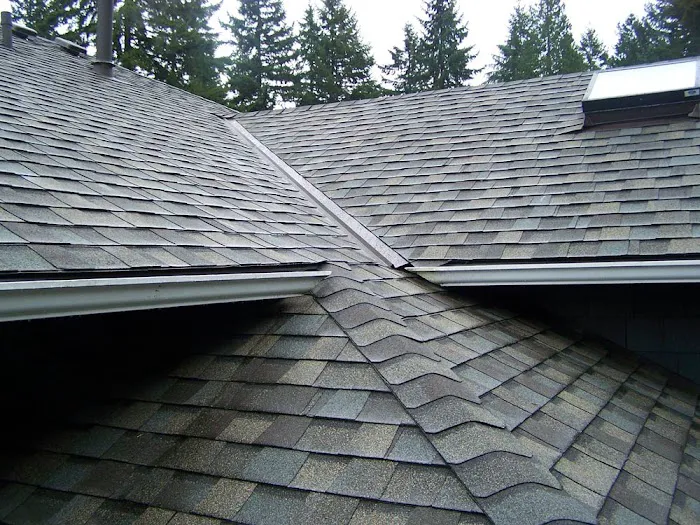 Lone Star Roof Solutions LLC Picture 3