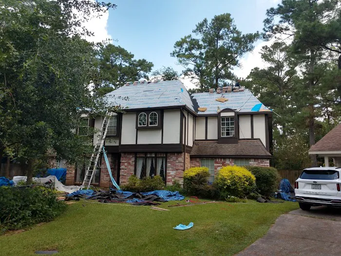 Doozy Roofs Picture 5
