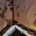 Sowell Roofing, Inc.