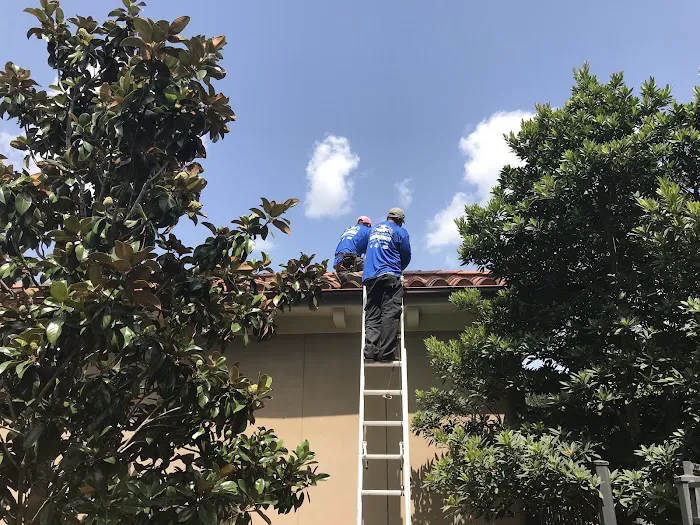 Sugar Roofing Picture 6