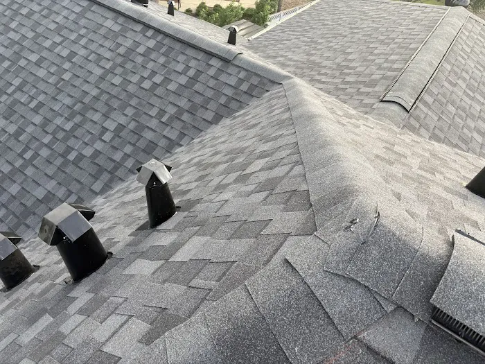 Moss Roofing Houston Picture 1