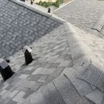 Moss Roofing Houston