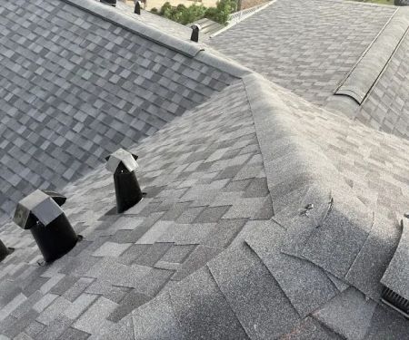 Moss Roofing Houston