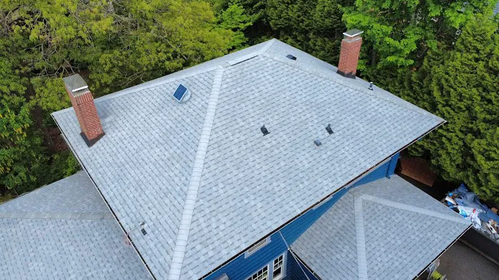 Ridge Roofing Picture 2