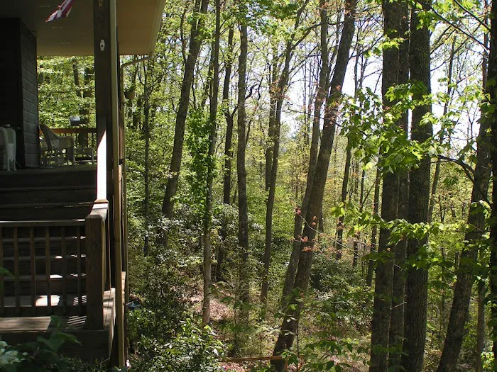 Cove Creek Construction, Inc. | General Contractor + Home Remodeling + Repair Picture 6