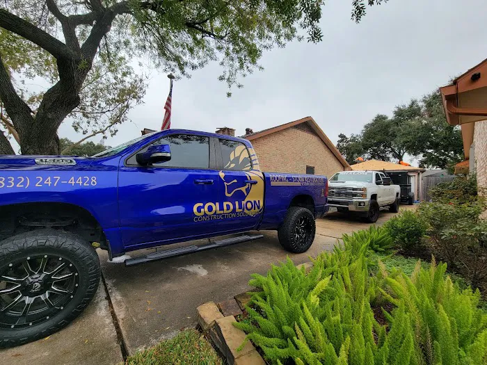 Gold Lion Construction Solutions LLC Picture 1