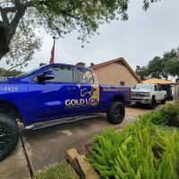 Gold Lion Construction Solutions LLC ico