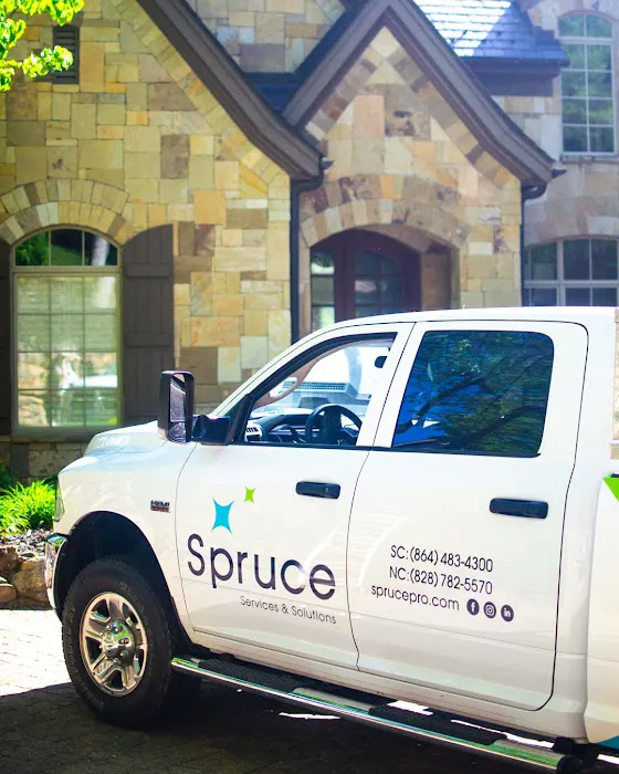 Spruce Services and Solutions Picture 1