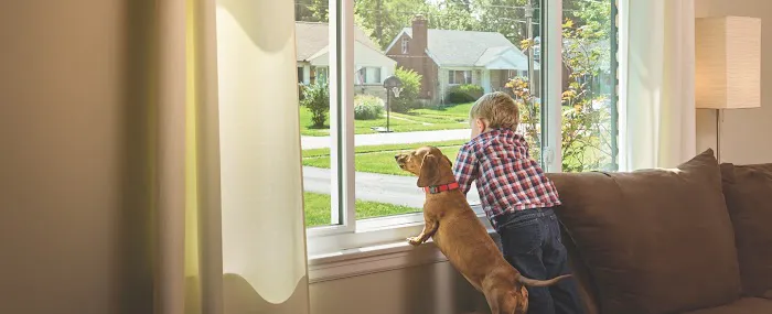 Window & Door Specialties Picture 8