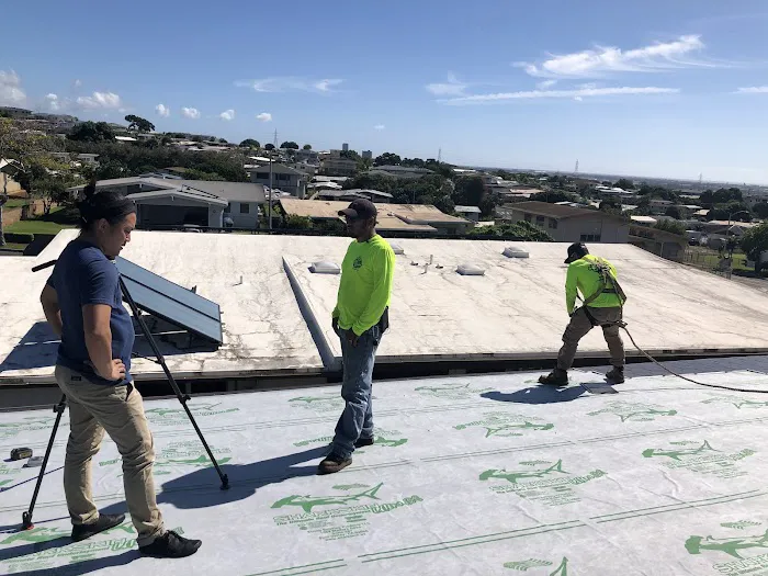 Blue Peak Roofing Spring Picture 2