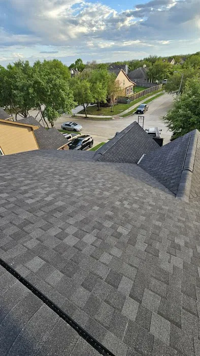 Platinum Roof Designs Picture 2