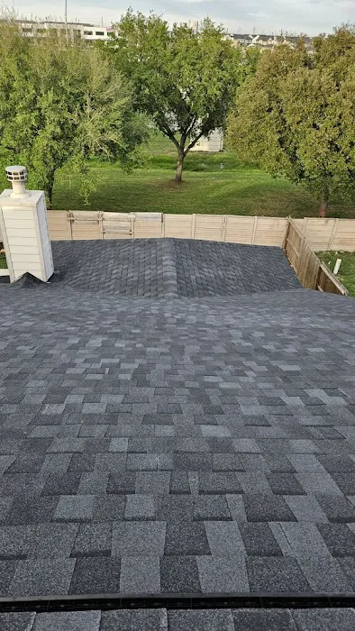Platinum Roof Designs Picture 7
