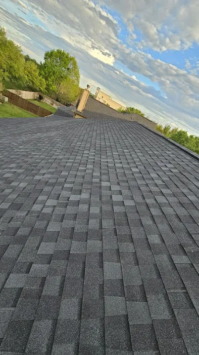 Platinum Roof Designs Picture 4
