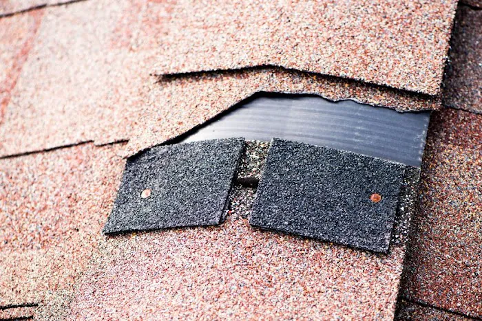 Bellaire Roofing Co Picture 9